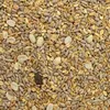 Gartenvogelfutter (2,5 kg) | Gartenvogelfutter von GEVO Produktbild-Vorschau 4