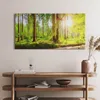 Wald in der Sonne – Leinwandbild Wandbild – 100x50 cm – Produktbild-Vorschau 2