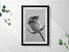 Graue kleine Rosenblüte– Wandbild mit Rahmen – Gerahmtes Produktbild-Vorschau 2