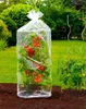 Folia ochronna na pomidory, 2 sztuki Podgląd zdjęcia produktu 11