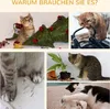 PawHut Kratzbaum, Katzenkratzbaum Deckenhoch, 230-250 cm, Produktbild-Vorschau 7