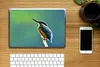 MuchoWow® Laptop Aufkleber Sticker Cover Eisvogel - Äste - Produktbild-Vorschau 2