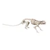 Rattenskelett - Halloween Deko Outdoor Indoor Produktbild-Vorschau 4