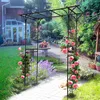 Arc de roses en métal noir 204/150 x52x20 cm (hxpxl), avec Voir les images du produit 4