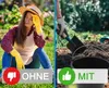 3x Baueimer 12l - Mörteleimer mit Henkel - Eimer für Produktbild-Vorschau 6