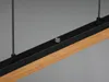 TRIO LED-Pendelleuchte Kerala 341610132 schwarz, 25 W, 3000 Produktbild-Vorschau 6