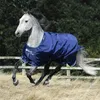 A grey horse wearing a blue turnout rug is running in a field with a wooden fence in the background. Produktbild-Vorschau