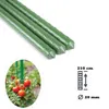 Pręt podtrzymujący rośliny 210 cm ø 20 mm Podgląd zdjęcia produktu 1