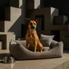 A dog sits in a dog bed in a modern, abstract setting. Produktbild-Vorschau