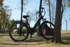 ttgo C3 SE 28 Zoll E-Bike für Erwachsene, Elektrofahrrad Produktbild-Vorschau 2