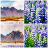 Bilder auf glas - Berge Wiese Blumen - 60x60cm - Glasbilder Produktbild-Vorschau 8