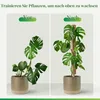 Pflanzenstütze, 2 Stück 41 CM Pflanzstab Rankhilfen für Produktbild-Vorschau 3