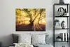 MuchoWow® Wandtattoo Wandsticker Wandaufkleber Baum - Wald Produktbild-Vorschau 7