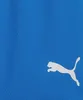 Puma Teamrise Shorts Kinder - Royal Produktbild-Vorschau 5