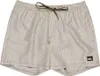 Quiksilver Everyday Deluxe Volley 15 Grape Leaf L Produktbild-Vorschau 3