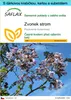 SAFLAX Dárková sada - zvonek strom - Paulownia tomentosa - Náhled obrázku produktu 1