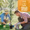 Two people are planting a small tree in a garden. Náhled obrázku produktu