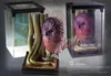 Noble Collection Fantastic Beasts Statua magicznych Podgląd zdjęcia produktu 1