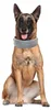 Hondenhalsband 5 cm breed - PolyurethanLeren Halsband - 5 Productafbeelding-voorbeeld 2