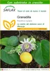 SAFLAX  - Granadilla - 20 semi - Con substrato - Passiflora Anteprima dell’immagine prodotto 1