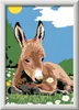 Ravensburger CreArt Kleiner Esel Produktbild-Vorschau 2