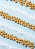 KoRo I Geröstete und gesalzene Kichererbsen 1 kg Produktbild-Vorschau 5