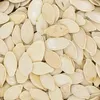 A close-up, overhead view of a pile of pumpkin seeds in their shells. Náhled obrázku produktu