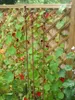 Three garden stakes with decorative tops stand in front of a wooden lattice fence covered in green vines and red flowers. Produktbild-Vorschau