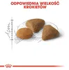 Royal Canin Feline Exigent Savour 400g Anteprima dell’immagine prodotto 9