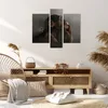 Bild auf Leinwand - Leinwandbild - 3 Teile - Schimpanse Produktbild-Vorschau 7