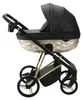 Adamex Quantum Kinderwagen 3in1 Gold Star – leichter Produktbild-Vorschau 3