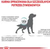 Royal Canin Veterinary Diet Canine Hypoallergenic Moderate Podgląd zdjęcia produktu 9