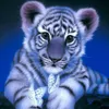 Sada na maľovanie diamantmi "Tiger", 5D, 30x30 cm, plný Náhľad obrázku produktu 1