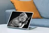 MuchoWow® Laptop Aufkleber Sticker Cover Koala - Schlafend Produktbild-Vorschau 4