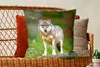 MuchoWow® Zierkissen Sofakissen Wohnzimmer Dekokissen 60x60 Produktbild-Vorschau 5