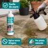 Pulitore per terrazze, Detergente concentrato terrazze 1 Anteprima dell’immagine prodotto 3