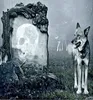 JACK Microfaser Print Bettwäsche 2 tlg. 135x200cm Wolf Produktbild-Vorschau 3