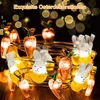 Osterhasen Lichterkette mit Karotten, 2m 20 LED, Produktbild-Vorschau 3