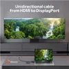 Câble de conversion Reagle HDMI vers DISPLAYPORT DP 4K 60Hz Voir les images du produit 3