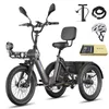 E Trike, Last bis 180 kg, Reichweite 85 km, 48 V 21 Ah Produktbild-Vorschau 1