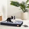 A dog lying on a dog bed next to a plant and a toy. Produktbild-Vorschau