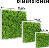 INMO Moosbild I Wandbild Mooswand mit echtem Moos (35x35) I Produktbild-Vorschau 3