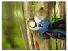 Akumulatorowe nożyce ogrodowe Bosch GGP18V-32 Pruner 18V, Podgląd zdjęcia produktu 6
