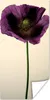 MuchoWow® Poster Nahaufnahme eines violetten Mohns 20x40 cm Produktbild-Vorschau 1