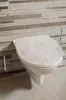 sanicomfort WC-Sitz Beton – Toilettensitz in moderner Produktbild-Vorschau 3