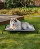 A husky dog is lying on a raised pet bed in a grassy yard next to a wooden deck. Anteprima dell’immagine prodotto