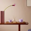Bolsius - Bougie à réchaud parfumée - 30 pièces par paquet Voir les images du produit 4