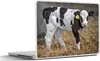MuchoWow® Laptop Aufkleber Sticker Cover Kuh - Stroh - Kalb Produktbild-Vorschau 1