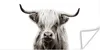 MuchoWow® Poster Scottish Highlander - Schwarz - Weiß 40x20 Produktbild-Vorschau 1