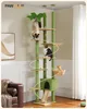 PAWZ Road Hoch Katzenbaum Kaktus, Deckenhoher Produktbild-Vorschau 8